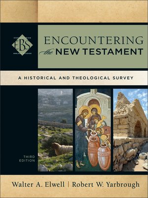 cover image of Encountering the New Testament